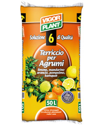 Terriccio agrumi Vigorplant