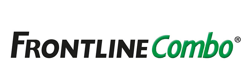 Frontline