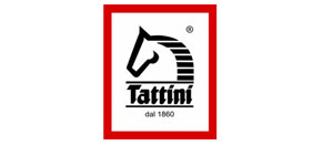 Tattini