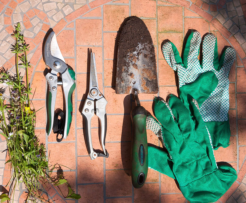 Giardinaggio e attrezzature