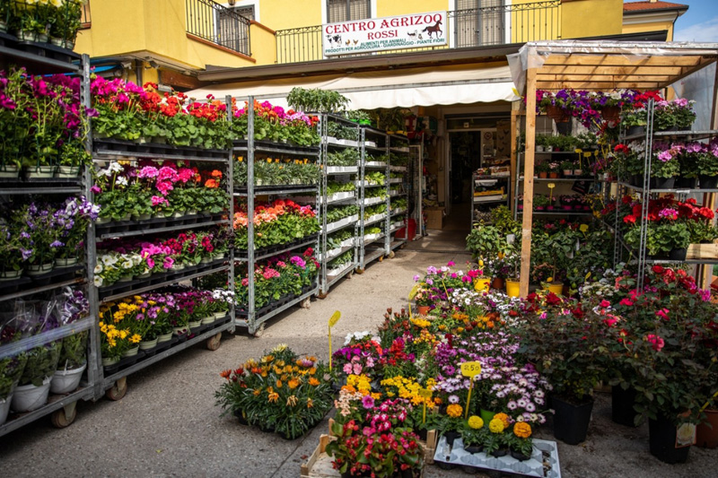 negozio agrizoo rossi rimini